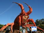 Sonya and the Big Lobster